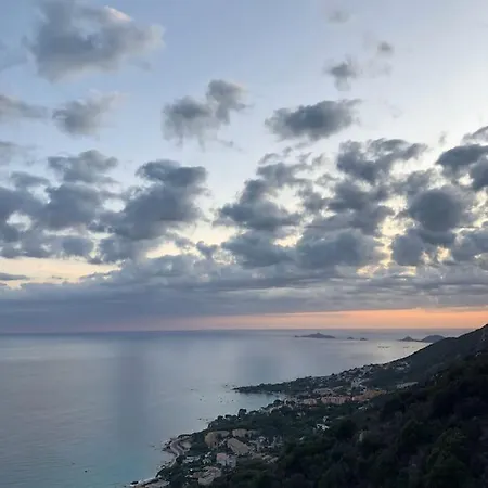 Appartement T1 Centre Carré D'or Proche *